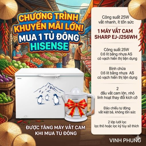 Tủ đông Hisense 300 lít FC380D4EWC1