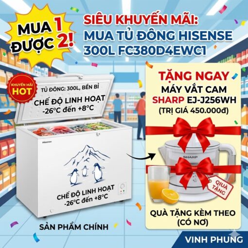 Tủ đông Hisense 300 lít FC380D4EWC1