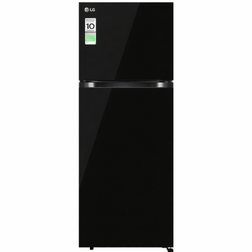 Tủ lạnh LG Inverter 217 lít T21BG
