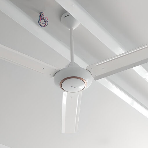 Quạt trần Panasonic 3 cánh F-60MZ2 66W 7 Quạt trần Panasonic 3 cánh F-60MZ2 66W