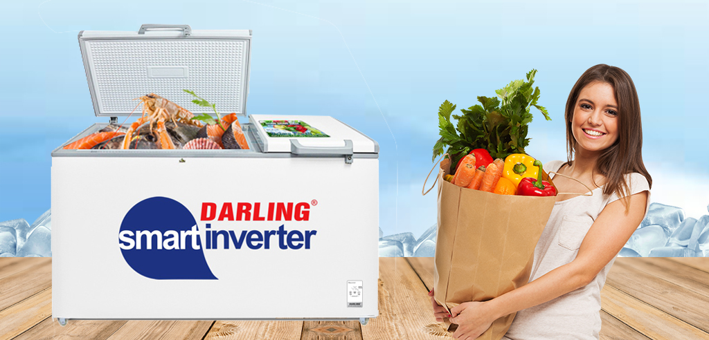 Tủ đông 2 Ngăn Darling Smart Inveter 770 lít DMF-7699WSI-4