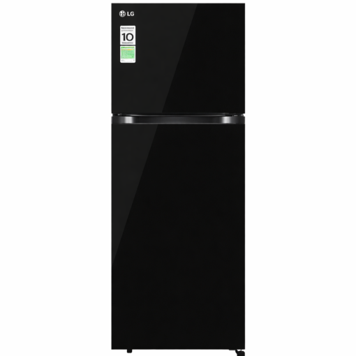 Tủ lạnh LG Inverter 217 lít T21BG
