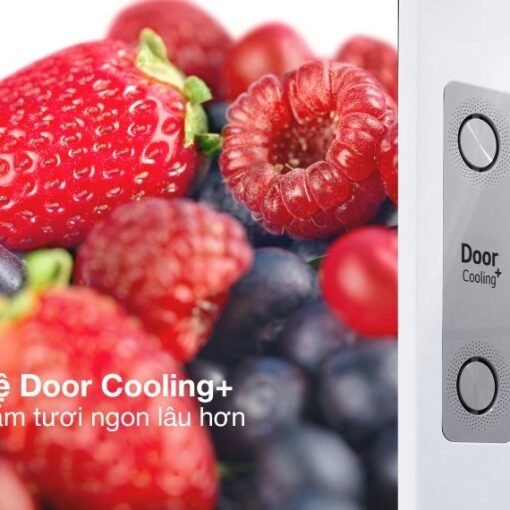 Tủ lạnh LG Inverter 459 lít LTD46SVMA