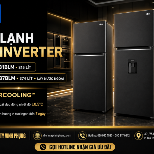 Tủ lạnh LG Inverter 314 lít LTB31BLM