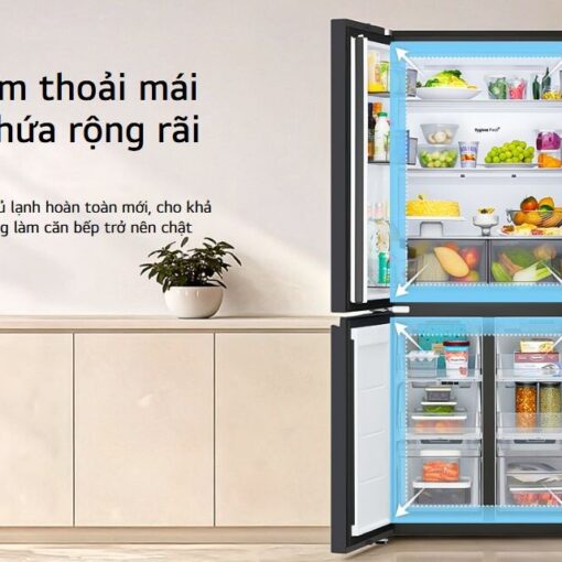 Tủ lạnh LG Inverter Multidoor 4 cánh 510L F51EG