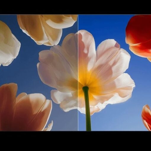 Google Tivi QD-MiniLED Xiaomi S 4K 55 inch L55MC-SSEA 7 Google Tivi QD-MiniLED Xiaomi S 4K 55 inch L55MC-SSEA