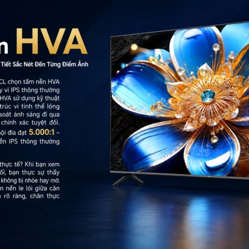 Google Tivi QLED TCL 4K 65 inch 65T6D