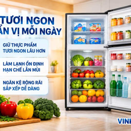 Tủ lạnh Hisense Inverter 205 lít RT256N4EBN